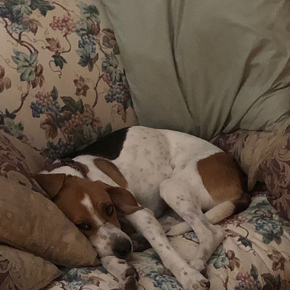 Meet your Posher, Jill